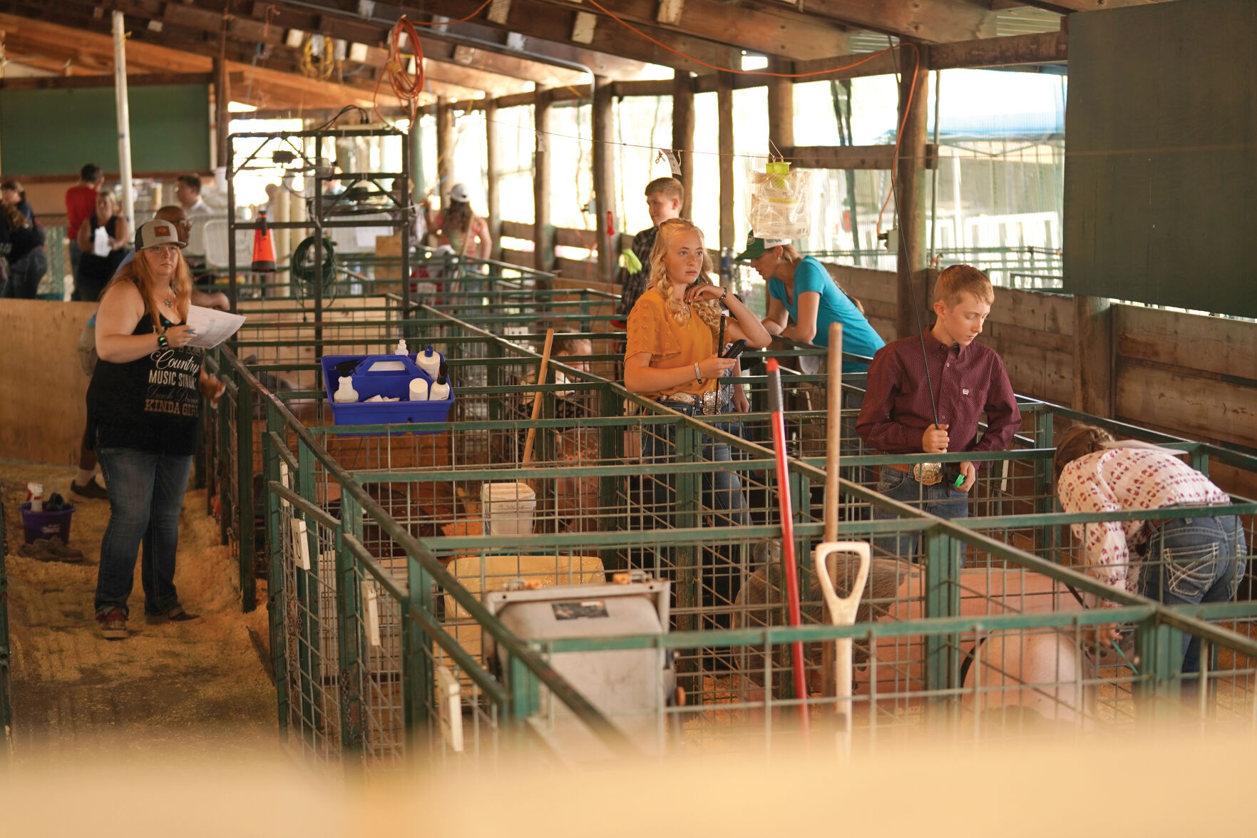 Swine Show Standalones 007.jpg
